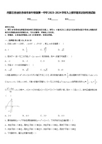 内蒙古自治区赤峰市翁牛特旗第一中学2023-2024学年九上数学期末达标检测试题含答案