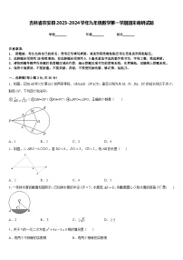 吉林省农安县2023-2024学年九年级数学第一学期期末调研试题含答案