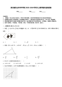 四川省乐山市市中学区2023-2024学年九上数学期末监测试题含答案