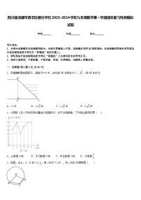 四川省成都市青羊区部分学校2023-2024学年九年级数学第一学期期末复习检测模拟试题含答案