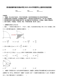 四川省成都市温江区踏水学校2023-2024学年数学九上期末综合测试试题含答案