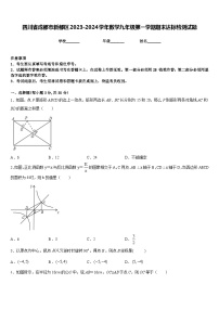 四川省成都市新都区2023-2024学年数学九年级第一学期期末达标检测试题含答案