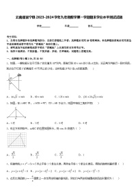 云南省富宁县2023-2024学年九年级数学第一学期期末学业水平测试试题含答案