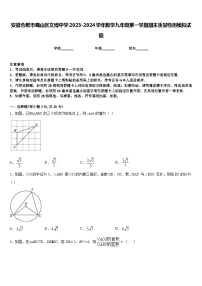 安徽合肥市蜀山区文博中学2023-2024学年数学九年级第一学期期末质量检测模拟试题含答案