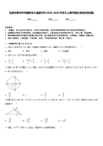 安徽合肥市中学国科技大附属中学2023-2024学年九上数学期末质量检测试题含答案