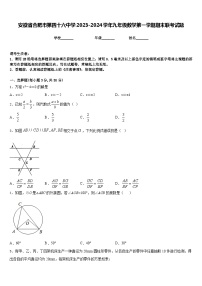 安徽省合肥市第四十六中学2023-2024学年九年级数学第一学期期末联考试题含答案
