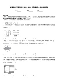 安徽省合肥市科大附中2023-2024学年数学九上期末调研试题含答案