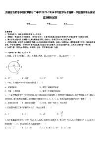 安徽省合肥市庐阳区第四十二中学2023-2024学年数学九年级第一学期期末学业质量监测模拟试题含答案