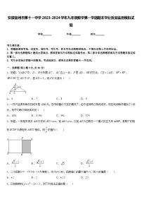 安徽宿州市第十一中学2023-2024学年九年级数学第一学期期末学业质量监测模拟试题含答案