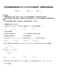 天津市滨海新区第四共同体2023-2024学年九年级数学第一学期期末联考模拟试题含答案