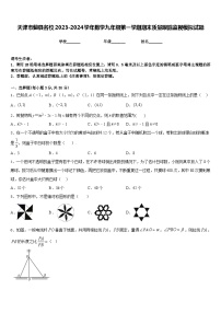 天津市蓟县名校2023-2024学年数学九年级第一学期期末质量跟踪监视模拟试题含答案