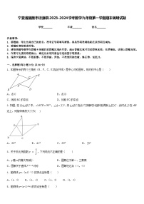 宁夏省固原市泾源县2023-2024学年数学九年级第一学期期末调研试题含答案