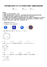 天津市东丽区立德中学2023-2024学年数学九年级第一学期期末达标测试试题含答案