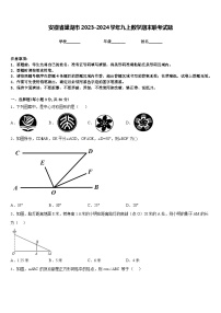 安徽省巢湖市2023-2024学年九上数学期末联考试题含答案