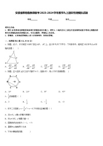 安徽省阜阳临泉县联考2023-2024学年数学九上期末检测模拟试题含答案