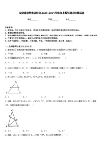 安徽省毫州市涡阳县2023-2024学年九上数学期末经典试题含答案