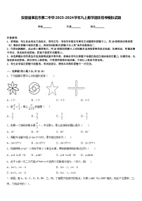 安徽省淮北市第二中学2023-2024学年九上数学期末统考模拟试题含答案