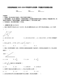 安徽省淮南地区2023-2024学年数学九年级第一学期期末检测模拟试题含答案