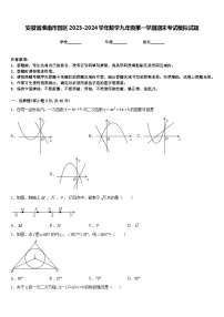 安徽省淮南市田区2023-2024学年数学九年级第一学期期末考试模拟试题含答案