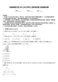 安徽省蒙城下县2023-2024学年九上数学期末复习检测模拟试题含答案