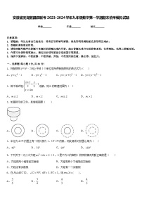 安徽省芜湖繁昌县联考2023-2024学年九年级数学第一学期期末统考模拟试题含答案