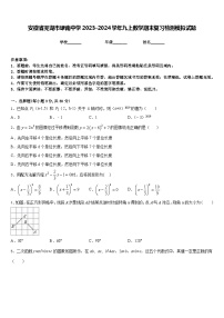 安徽省芜湖市埭南中学2023-2024学年九上数学期末复习检测模拟试题含答案