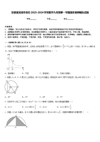 安徽省芜湖市名校2023-2024学年数学九年级第一学期期末调研模拟试题含答案