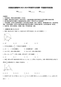 安徽省芜湖县联考2023-2024学年数学九年级第一学期期末检测试题含答案