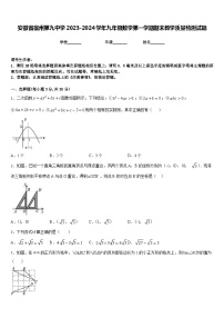 安徽省宿州第九中学2023-2024学年九年级数学第一学期期末教学质量检测试题含答案