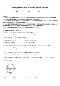 安徽省宿州市泗县2023-2024学年九上数学期末考试试题含答案