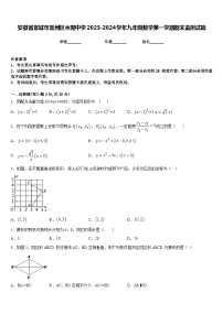 安徽省宣城市宣州区水阳中学2023-2024学年九年级数学第一学期期末监测试题含答案