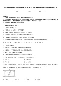 山东省临沂经济开发区四校联考2023-2024学年九年级数学第一学期期末考试试题含答案