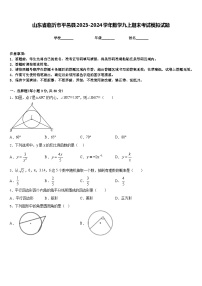 山东省临沂市平邑县2023-2024学年数学九上期末考试模拟试题含答案