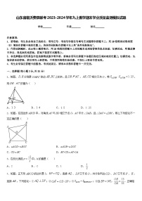 山东省临沂费县联考2023-2024学年九上数学期末学业质量监测模拟试题含答案