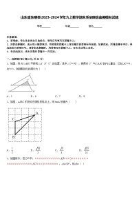 山东省东明县2023-2024学年九上数学期末质量跟踪监视模拟试题含答案