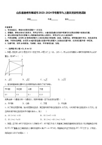 山东省德州市禹城市2023-2024学年数学九上期末质量检测试题含答案