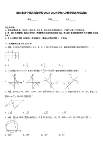 山东省济宁海达行知学校2023-2024学年九上数学期末考试试题含答案