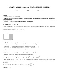 山东省济宁金乡县联考2023-2024学年九上数学期末综合测试试题含答案