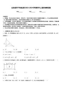 山东省济宁市梁山县2023-2024学年数学九上期末调研试题含答案