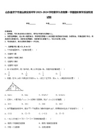 山东省济宁市梁山县实验中学2023-2024学年数学九年级第一学期期末教学质量检测试题含答案