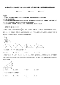 山东省济宁市市中学区2023-2024学年九年级数学第一学期期末检测模拟试题含答案