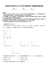 山东省济宁市鱼台县2023-2024学年九年级数学第一学期期末监测模拟试题含答案