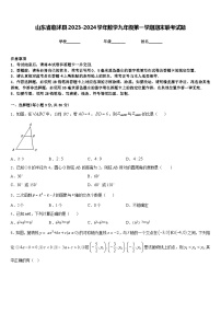 山东省临沭县2023-2024学年数学九年级第一学期期末联考试题含答案