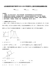 山东省临清市刘垓子镇中学2023-2024学年数学九上期末质量跟踪监视模拟试题含答案