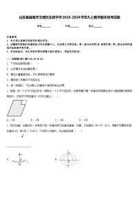 山东省威海市文登区实验中学2023-2024学年九上数学期末统考试题含答案