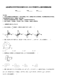 山东省枣庄市市中学区五校联考2023-2024学年数学九上期末经典模拟试题含答案