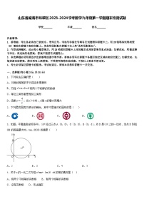 山东省威海市环翠区2023-2024学年数学九年级第一学期期末检测试题含答案