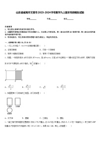 山东省威海市文登市2023-2024学年数学九上期末检测模拟试题含答案