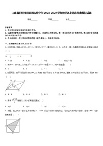 山东省日照市田家炳实验中学2023-2024学年数学九上期末经典模拟试题含答案