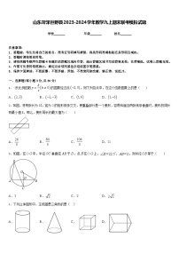 山东菏泽巨野县2023-2024学年数学九上期末联考模拟试题含答案